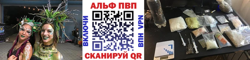 ссылка на мегу ссылка  Кузнецк  Альфа ПВП СК 