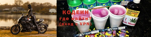 ГАЛЛЮЦИНОГЕННЫЕ ГРИБЫ Каменка