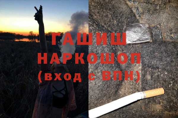 ГАЛЛЮЦИНОГЕННЫЕ ГРИБЫ Каменка