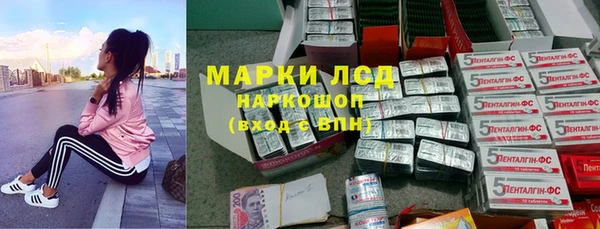 apvp Каменногорск