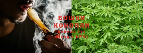 ПСИЛОЦИБИНОВЫЕ ГРИБЫ Карпинск