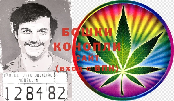 apvp Каменногорск