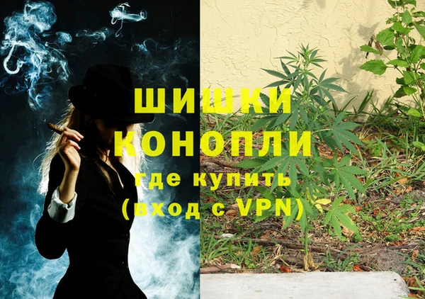 ГАЛЛЮЦИНОГЕННЫЕ ГРИБЫ Каменка