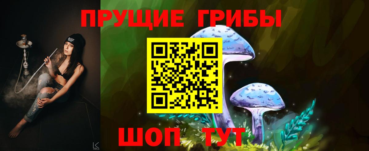 где купить   Галлюциногенные грибы прущие грибы  Псилоцибиновые грибы мицелий  Вход с VPN  Кузнецк 